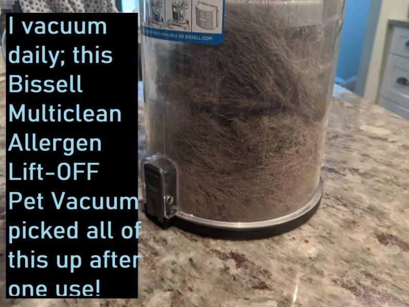 All the pet fur/dander/dust the Bissell picked up on one single pass through our downstairs.