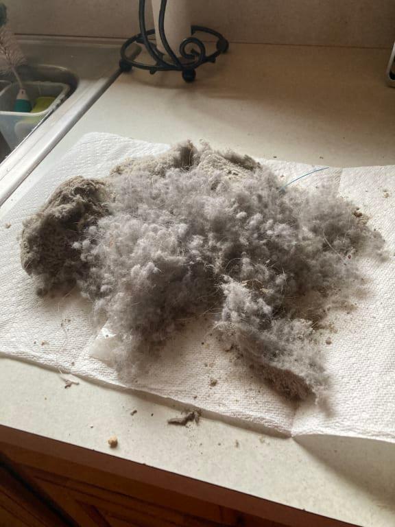 Yikes! That much dirt!