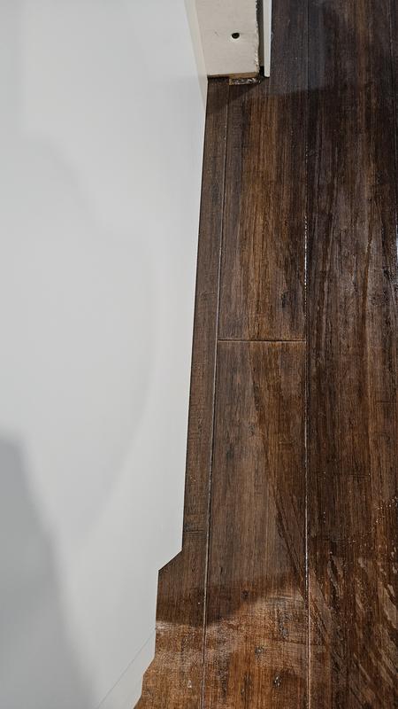 Photo - commentaire 2.