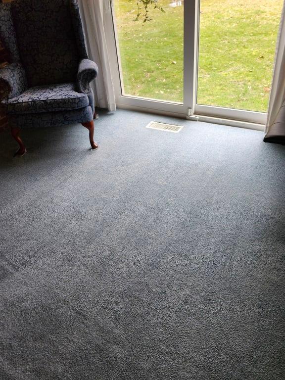 Our 20 year old Family Room Carpet is Blue Again