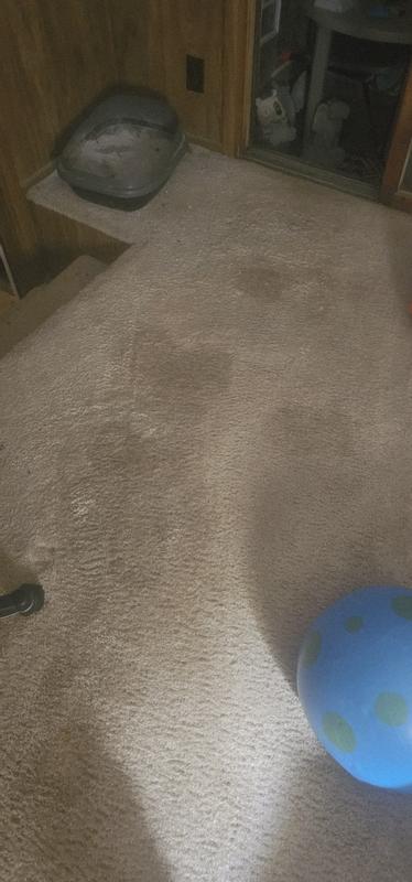 Does clean like other Bissells