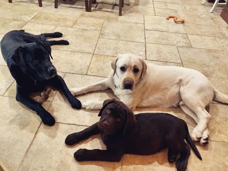 What's next Mom?!?! I know it's perspective,but Henry looks almost as big as Bennie here)#mondaymood