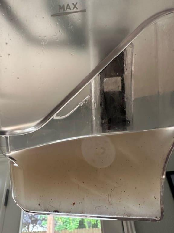 The water after cleaning was so dirty - yuck!