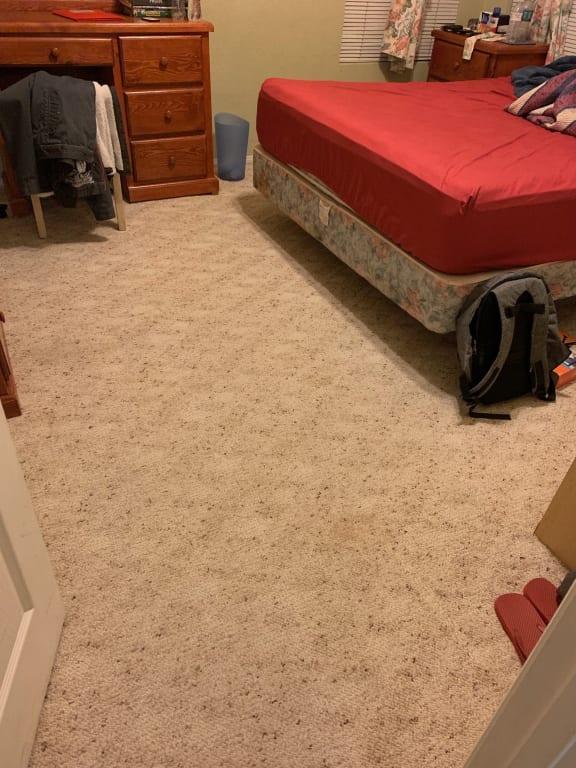 my son room where the dog sleeps.