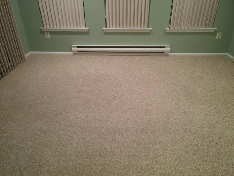 There used to be a deep 3x2 ft. stain in the middle of the carpet!