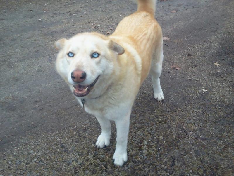 Photo - commentaire 1.