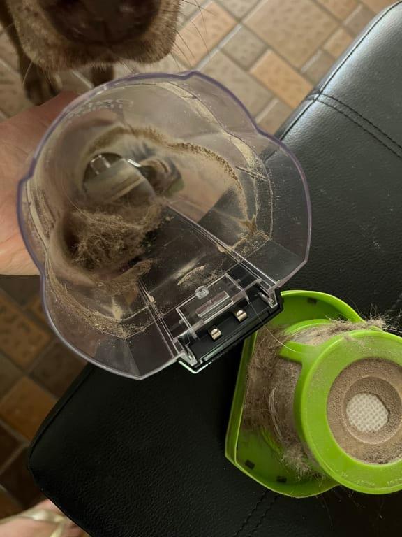 One sofa cushion a dog has sat on for years, one pass the first time with my new vacuum.