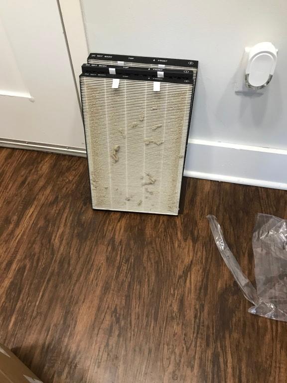 Look at what it captured