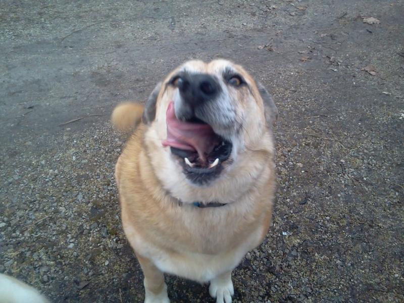 Photo - commentaire 2.