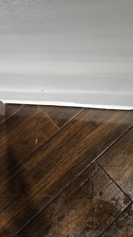 Photo - commentaire 1.