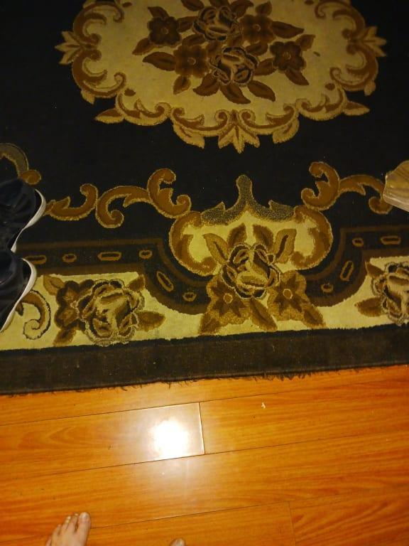 Bissell cleaned my rug after fire
