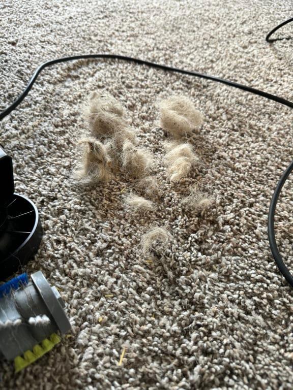 All this was trapped where the belt that drives the brush is