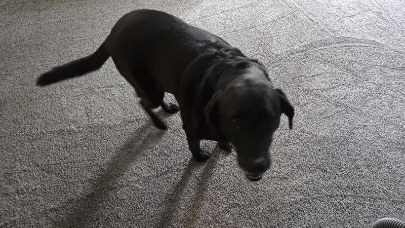 Photo - commentaire&nbsp;2.