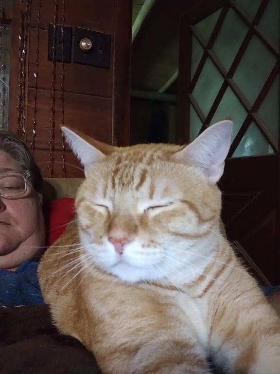 Leo.is a.Bissell.fan!