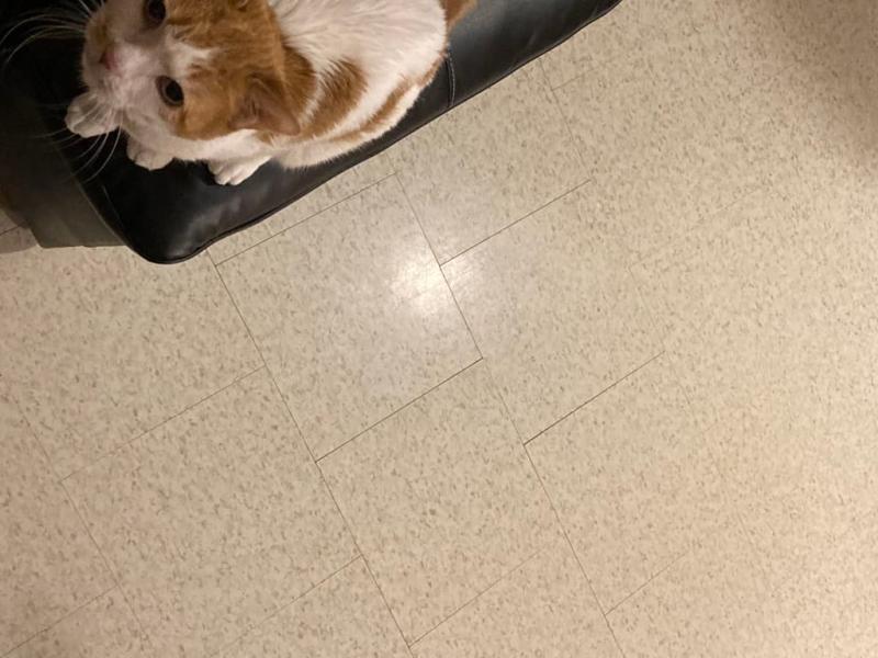 The Spinwave left my tiles feeling rough vs. Crosswave that left these same tiles smooth polished looking.