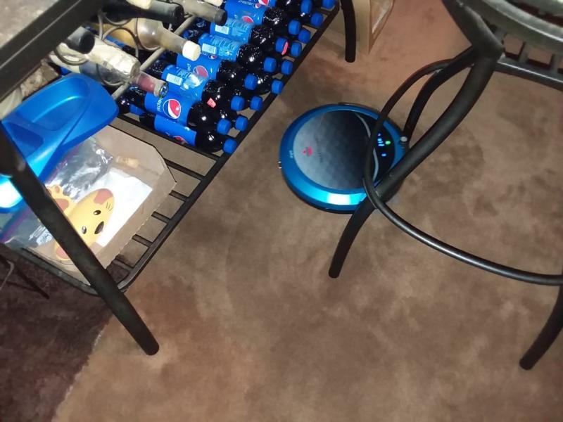 Animal Cleaning floors around and under all furniture