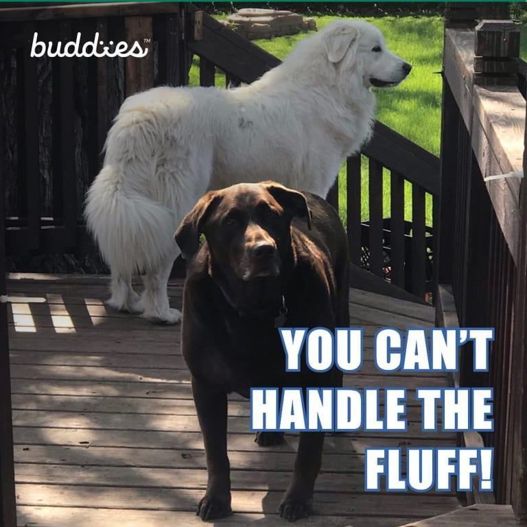 You can't handle the fluff. -Juno #buddies