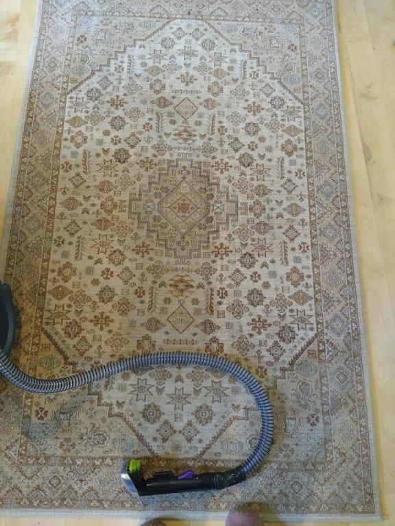 And this rug didn't even LOOK that dirty :-)
