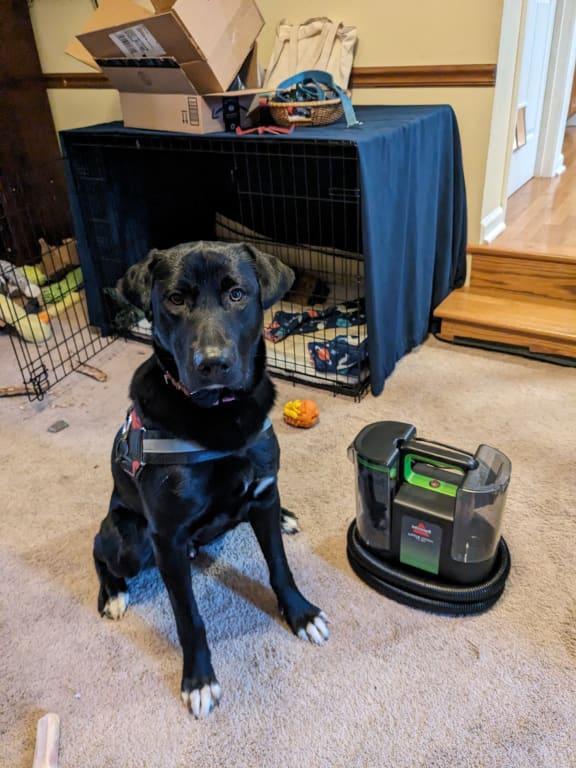 Photo - commentaire&nbsp;7.