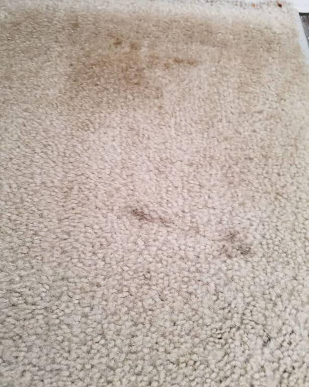 Customer photo 1 of 5. Click to open full size image.