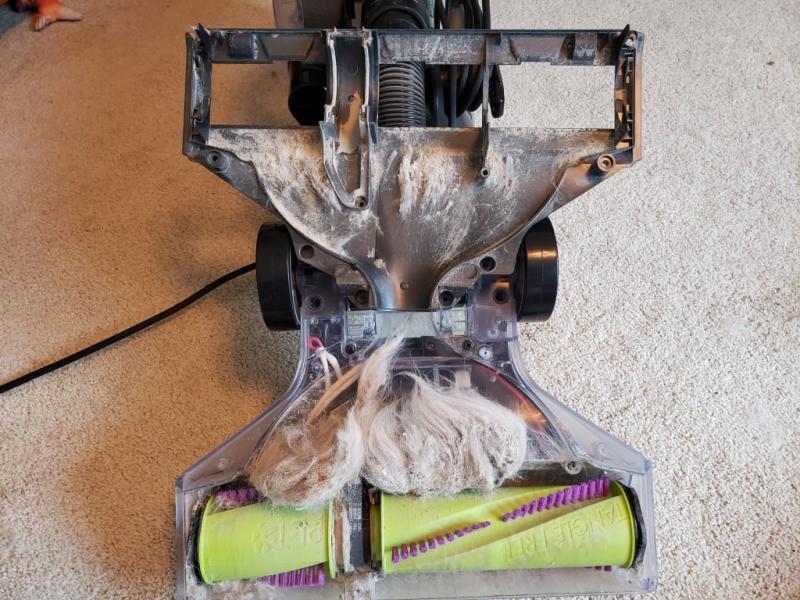 Brush compartment and bottom plate.