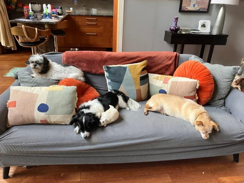 Why I need this product