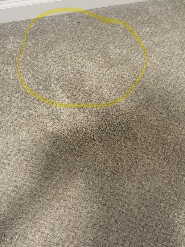 The stain was in this circle