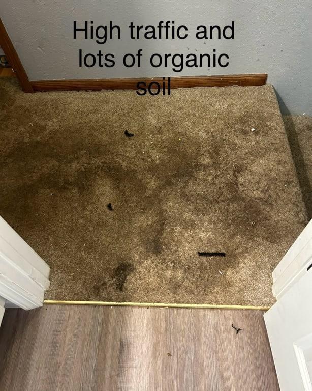 Worst carpet I've ever cleaned