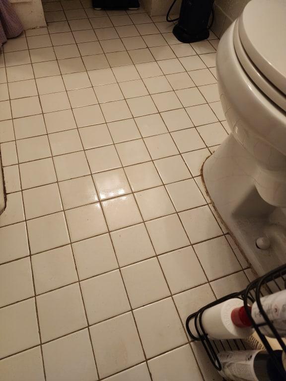 After Bissell Crosswave.no more muddy paws