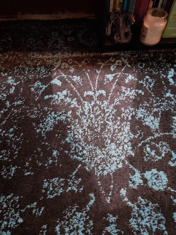 That's not light hitting the rug, it's the spot I haven't vacuumed yet!