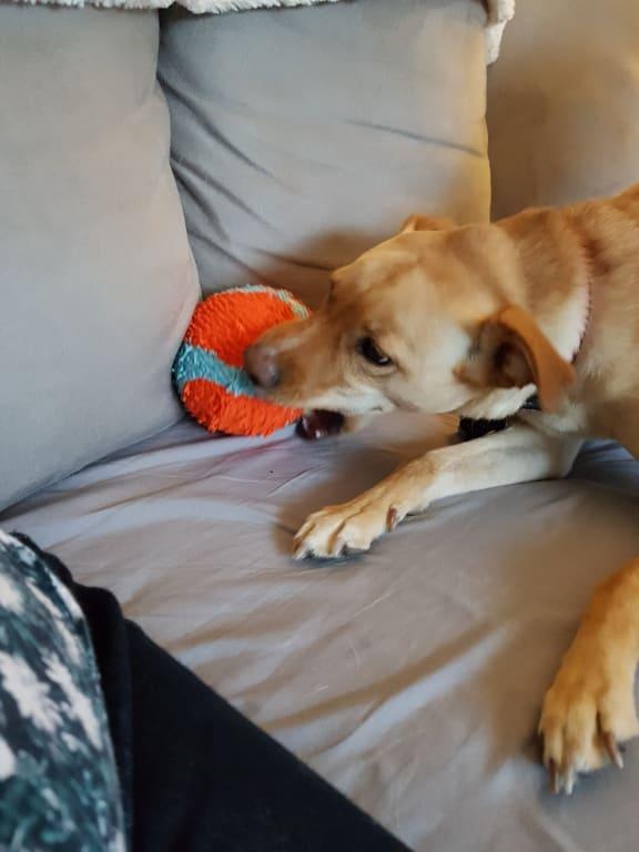 Photo - commentaire 4.