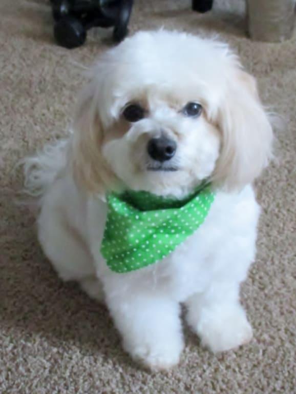 It is so important that he has a clean house