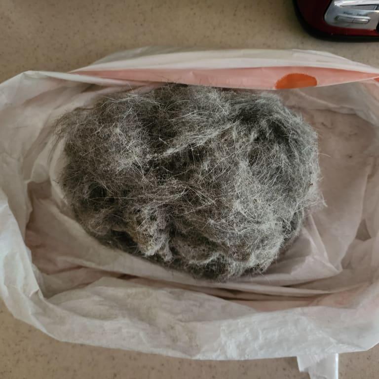 This is the wad of hair and dirt that this vacuum picked up immediately after my cleaning service left.