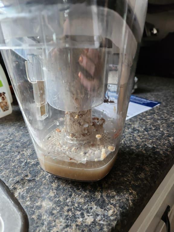 Collects lots of dirt & fur