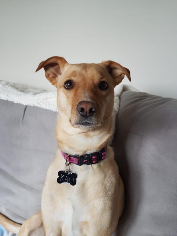 Photo - commentaire 5.