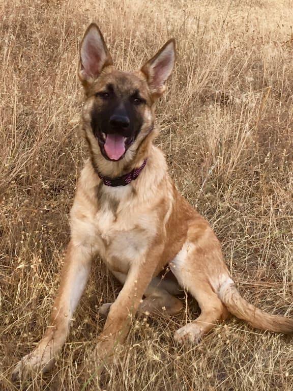 Mom & Dad are happy!