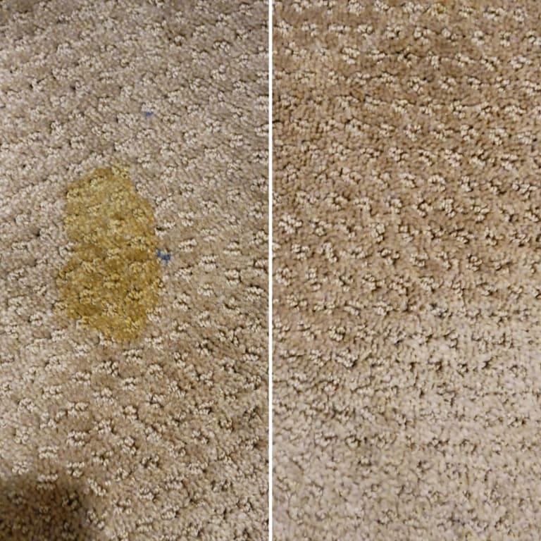 Pet mess before/ after