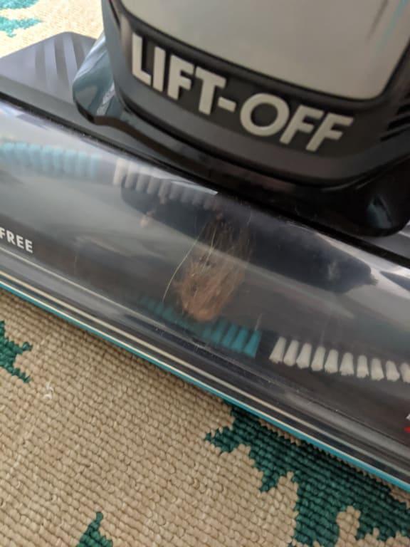 Hair wrapped onto the Brush Roll