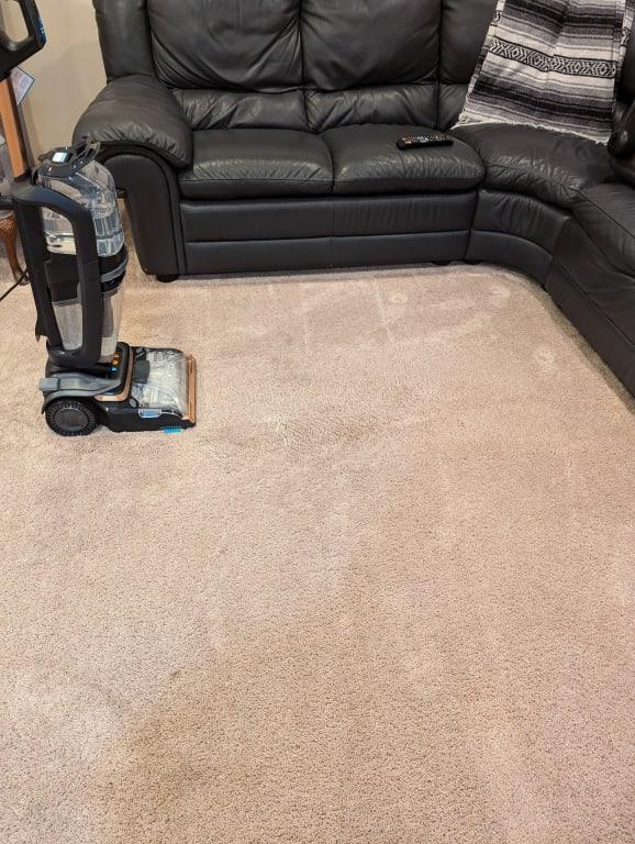 After - The Revolution Hydrosteam did the trick!