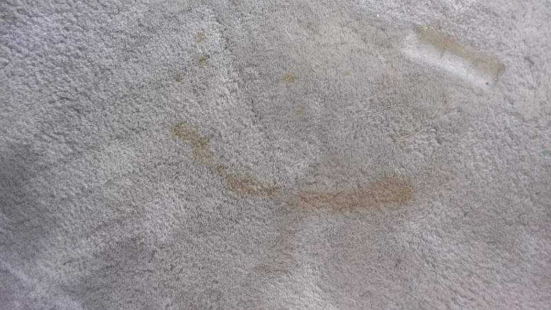 Customer photo 2 of 3. Click to open full size image.