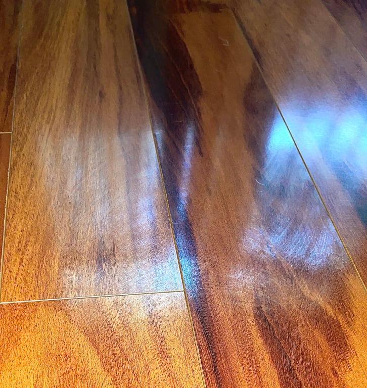 hard to see because theyre shiny from just being cleaned