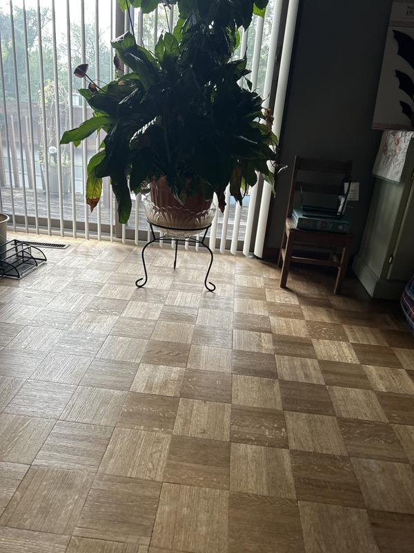 Photo - commentaire 1.