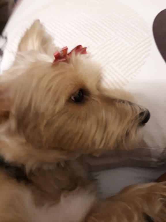 Photo - commentaire&nbsp;1.