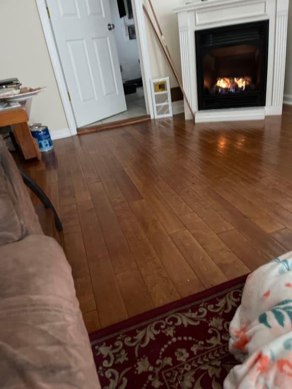 This is a hardwood machine and tile not for wetting your carpet how would you suck up the dirty water I read some of the reviews that make no sense. I would use it once your floors are somewhat clean otherwise you're just gonna push the dirt around so vacuum your floors up get the hair up with your vacuum nozzle and then try it. Don't get right to work if your floors are already scummy and clogged with dried pet food and other spills that have dried you can try but your dirty or pads in a minute