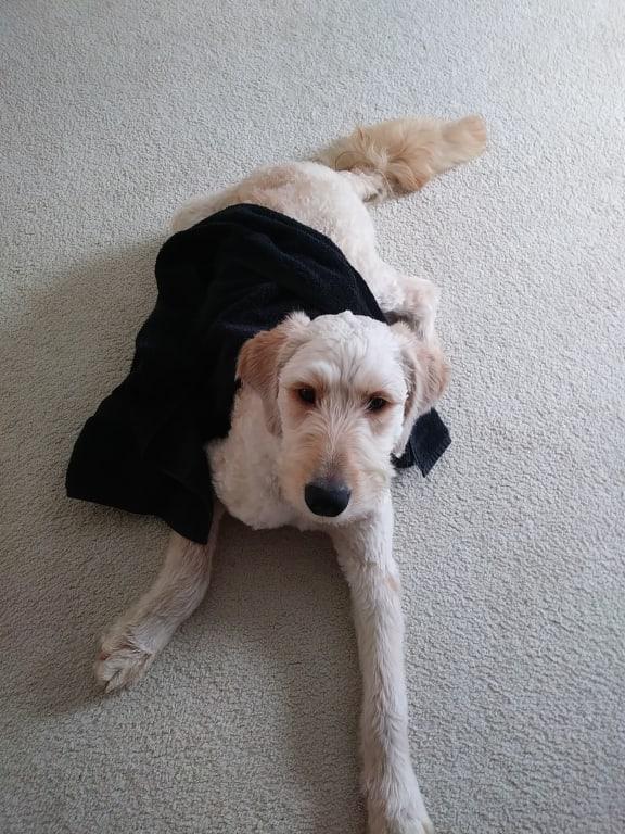 Photo - commentaire&nbsp;2.