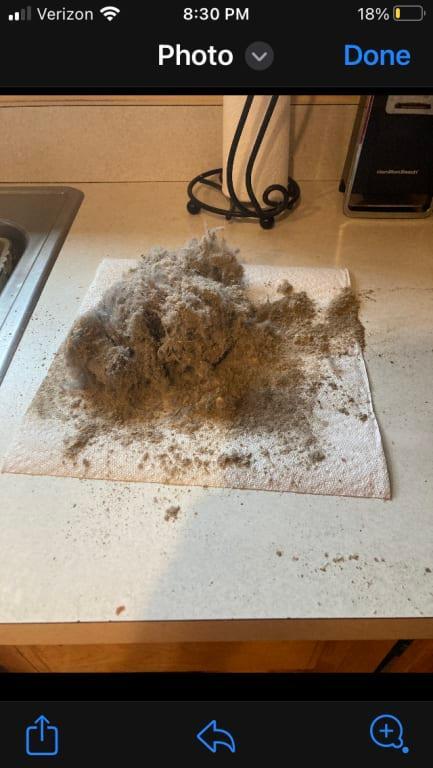 And, again, shocked at its cleaning power!