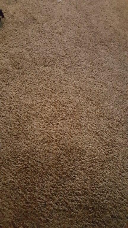 Medium Plush Livingroom