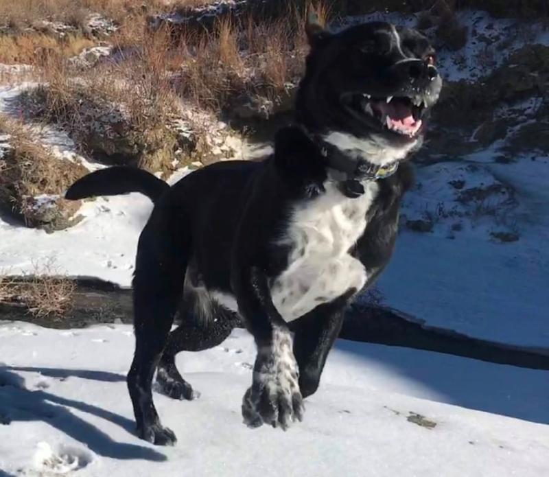 Photo - commentaire&nbsp;2.