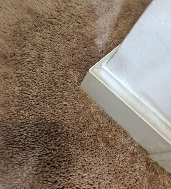 Customer photo 3 of 4. Click to open full size image.