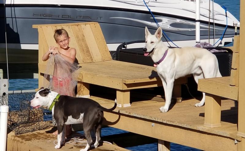 Photo - commentaire 6.